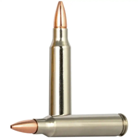 FEDERAL BARNES TSX JAGD MUNITION .223 REM. 55GR
