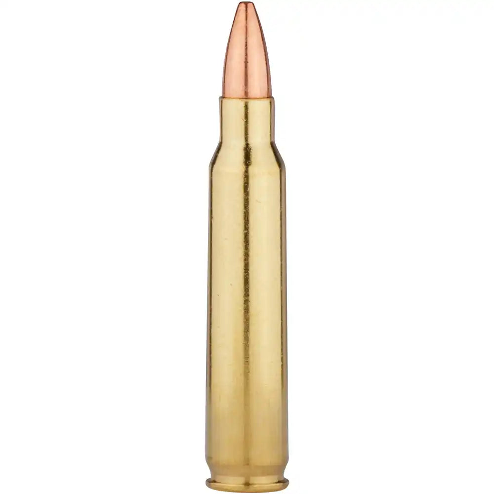 BARNES TTSX JAGD MUNITION 30-06 SPR 180GR