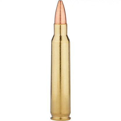 BARNES TTSX JAGD MUNITION 30-06 SPR 180GR